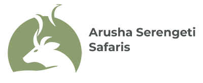 Arusha Serengeti Safaris - Explore Serengeti