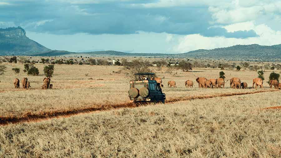 Exploring the Road from Arusha to Serengeti National Park: Must-Visit Stops and Activities